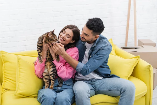 Positive Interracial Couple Petting Bengal Cat Couch Home — стоковое фото