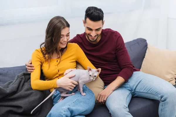 Arabian Man Hugging Smiling Girlfriend Sphynx Cat Home — стоковое фото