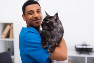 Bulanık ve gülümseyen Afro-Amerikan veteriner üniformalı. Klinikte kürklü rakun kedi tutuyor. 