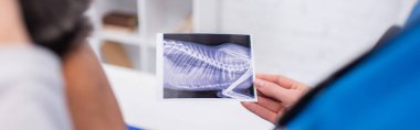 Doktorun elinde ultrason görüntüsü var. Afrika kökenli Amerikalı bir meslektaşın veteriner kliniğinde. 