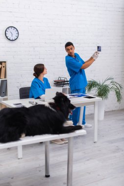 Afrikalı Amerikalı doktor meslektaşının yakınındaki ultrason taramasına işaret ediyor ve klinikteki bulanık sınır collie 'sini gösteriyor. 