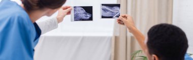 Klinikte ultrason taraması yapan ırklar arası veterinerler var. 