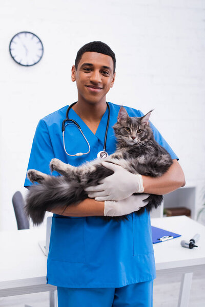 Smiling african american veterinarian holding maine coon cat in clinic 
