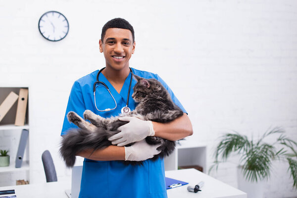 Positive african american veterinarian holding maine coon cat in clinic 