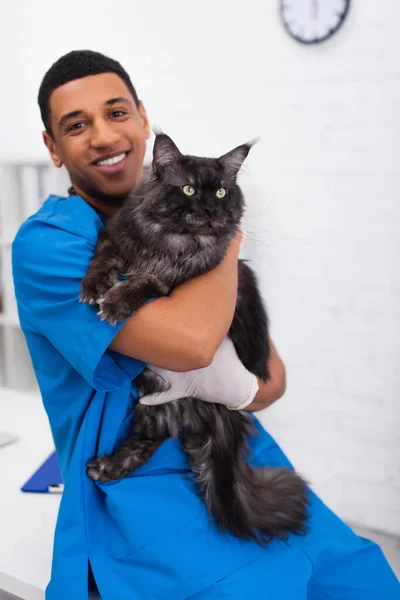 Cheerful African American Veterinarian Hugging Maine Coon Looking Camera Clinic — Foto de Stock