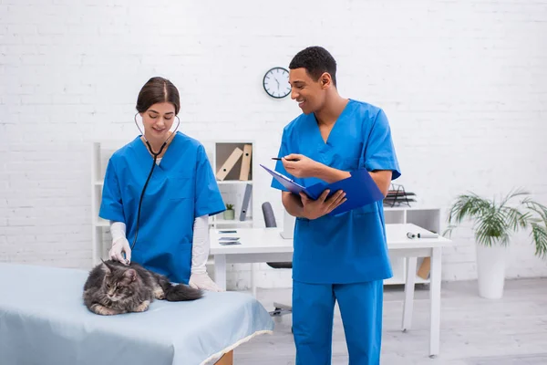 Smiling Interracial Veterinarians Clipboard Examining Maine Coon Clinic — 스톡 사진