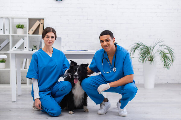 Cheerful interracial veterinarians looking at camera near border collie in clinic 
