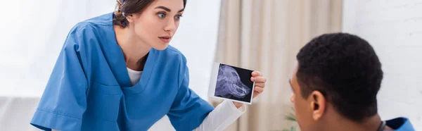 Vet Doctor Holding Ultrasound Scan Animal African American Colleague Clinic — Fotografia de Stock