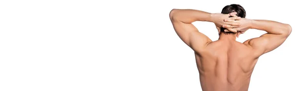 Мужчина Рубашки Мускулистой Спиной Позирует Руками Головой Изолированы Белом Баннер — стоковое фото