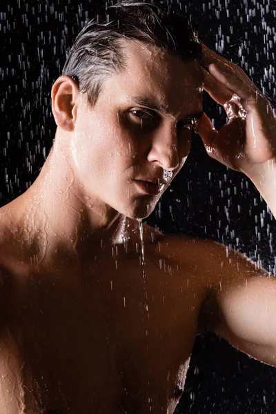 シャワー下の濡れた男が髪に触れ黒い背景のカメラを見て — ストック写真