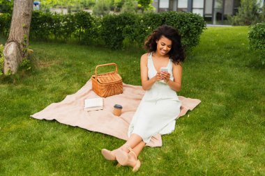 Green Park 'ta piknik yaparken akıllı telefon kullanan mutlu Afrikalı Amerikalı kadın. 