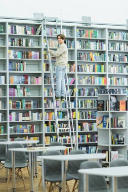 full length of teenage guy smiling at camera from ladder near bookshelves