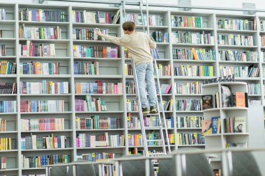 back view of teenage student standing on ladder and choosing books on racks in library
