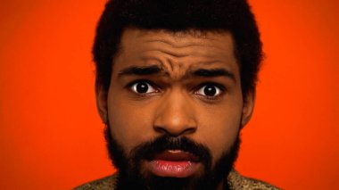 close up of shocked and bearded african american man looking at camera isolated on orange  clipart