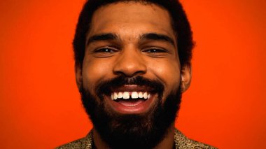 Mutlu ve sakallı Afro-Amerikan adam portakalda yapayalnız gülüyor. 
