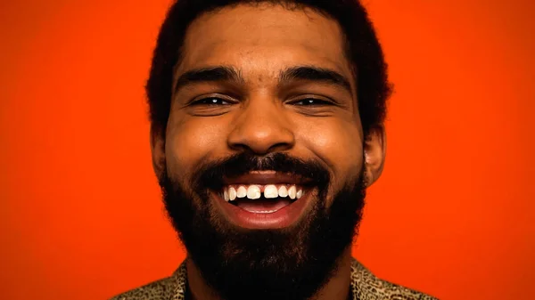 Közel Boldog Szakállas Afro Amerikai Férfi Nevetés Elszigetelt Narancs — Stock Fotó