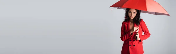 Young brunette woman in red suit standing under umbrella isolated on grey, banner — Stock Photo