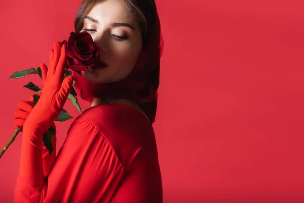 Красива молода жінка в рукавичках і хустці тримає троянду ізольовано на червоному — стокове фото