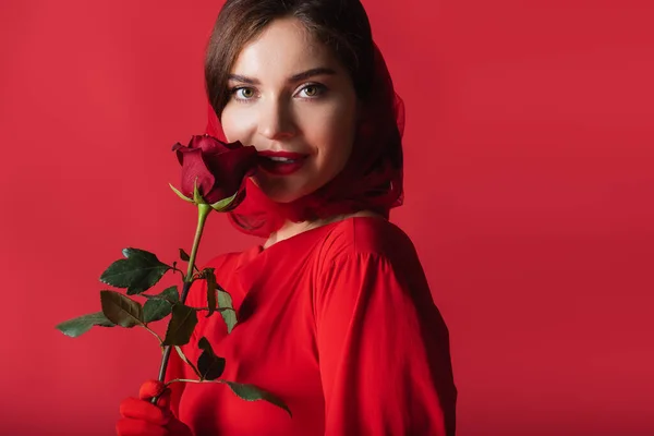 Joyful young woman in glove and headscarf holding rose isolated on red — Stock Photo