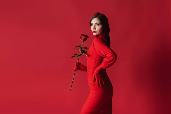 Elegante junge Frau im Kleid, die eine Rose hält, während sie mit der Hand auf der Hüfte auf Rot steht — Stockfoto