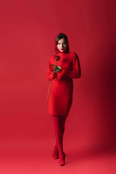 Full length of elegant young woman in dress holding rose while standing on red — Stock Photo
