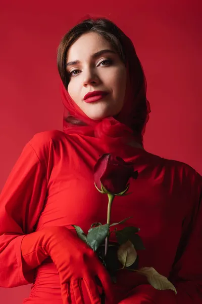 Elegante mujer en vestido y pañuelo de cabeza sosteniendo rosa mientras mira la cámara aislada en rojo - foto de stock