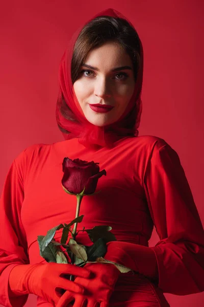 Молода елегантна жінка в сукні і хустці тримає троянду, дивлячись на камеру ізольовано на червоному — стокове фото