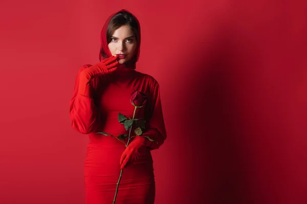 Woman in gloves, dress and headscarf holding rose while looking at camera on red — Stock Photo