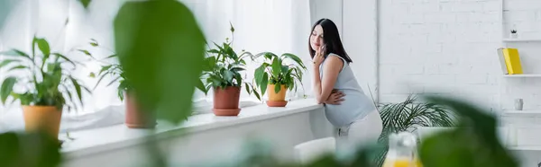 Junge schwangere Frau spricht auf Smartphone in der Nähe von Blumentöpfen auf Fensterbank und Pflanzen im verschwommenen Vordergrund, Banner — Stockfoto