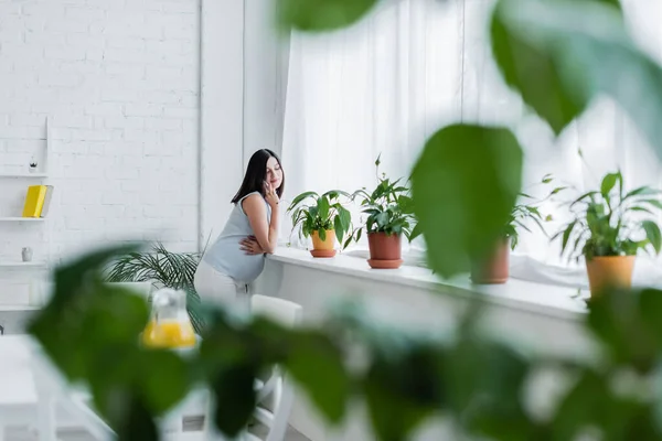 Mujer embarazada hablando por teléfono móvil cerca de alféizar de la ventana y plantas en primer plano borrosa - foto de stock