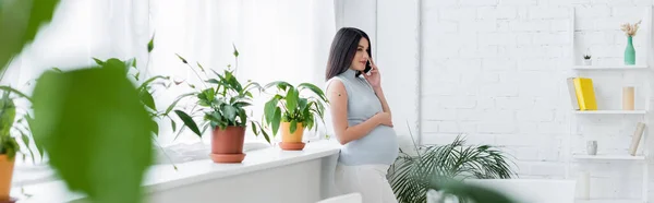 Mulher grávida morena falando no telefone celular perto de vasos de flores na cozinha em primeiro plano borrado, banner — Fotografia de Stock