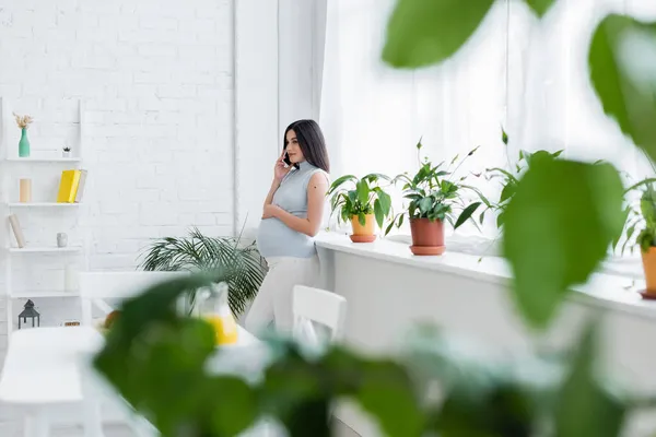 Bella donna incinta che parla sul cellulare in cucina vicino a piante verdi in primo piano sfocato — Foto stock