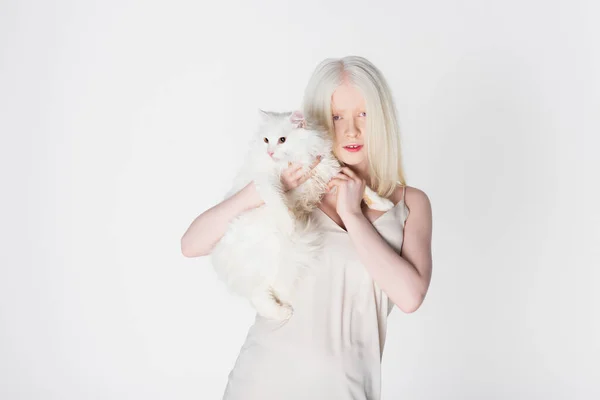 Молода альбіносова жінка тримає пухнастий кіт ізольовано на білому — стокове фото