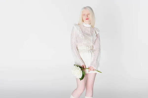 Pretty albino woman holding hydrangea flower isolated on white — Stock Photo