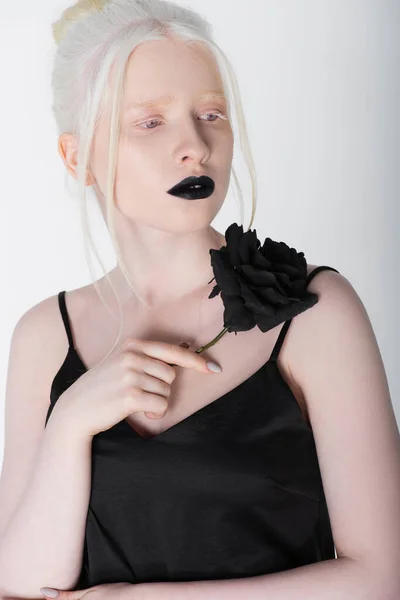 Porträt einer Albino-Frau im schwarzen Kleid, die eine Rose auf Weiß hält — Stockfoto