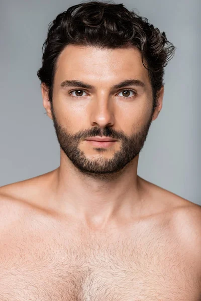 Portrait d'un bel homme barbu regardant la caméra isolée sur gris — Photo de stock