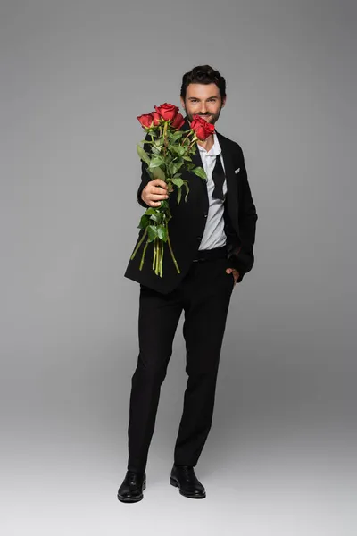 Full length of happy man in suit holding red roses while standing with hand in pocket on grey — Stock Photo