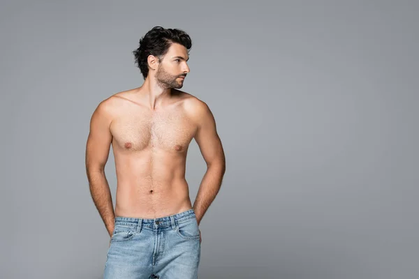 Homme barbu et musclé en jeans bleus regardant caméra isolée sur gris — Photo de stock