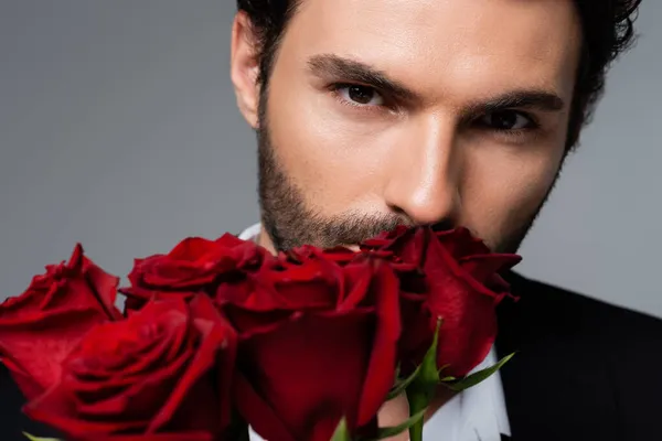 Close-up de homem barbudo segurando rosas vermelhas isoladas em cinza — Fotografia de Stock