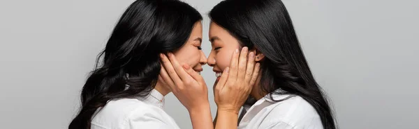 Seitenansicht der fröhlichen asiatischen Mutter und der jungen erwachsenen Tochter, die sich gegenseitig die Wangen berühren, isoliert auf grau, Banner — Stockfoto