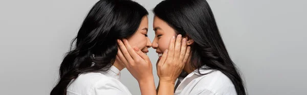 Vista laterale di allegra madre asiatica e giovane figlia adulta toccare guance di ogni altro isolato su grigio, striscione — Stock Photo