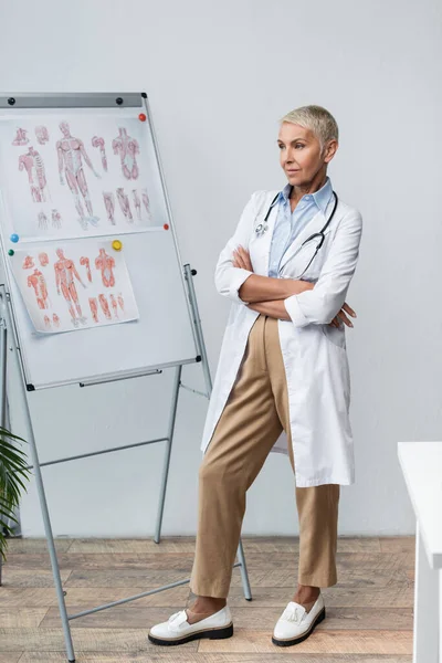 Médecin sénior en manteau blanc avec stéthoscope debout avec bras croisés près de flip chart avec des images anatomiques — Photo de stock