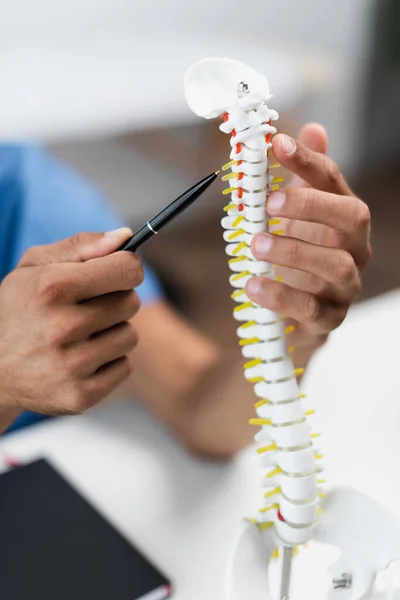 Partial view of blurred rehabilitologist pointing with pen at spine model — Stock Photo