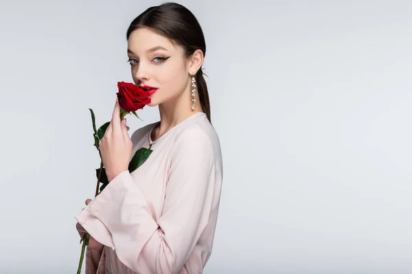 Брюнетка молода жінка з червоними губами пахне трояндою ізольована на сірому — стокове фото