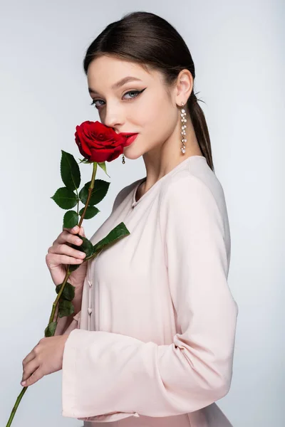 Брюнетка женщина в сережках и блузке, пахнущая красной розой изолированы на серый — стоковое фото