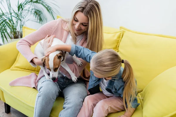 Family petting jack russell terrier on couch at home — Stock Photo