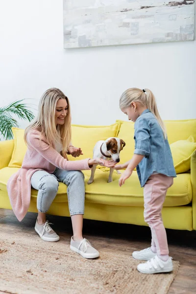 Smiling mother and kid petting jack russell terrier on couch at home — стоковое фото