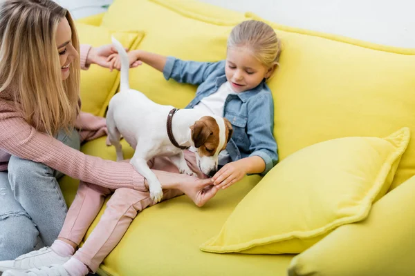 Blurred kid playing with jack russell terrier near mother at home — Stock Photo