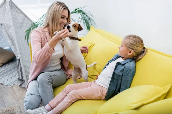 Cheerful woman playing with jack russell terrier near daughter on couch — Fotografia de Stock