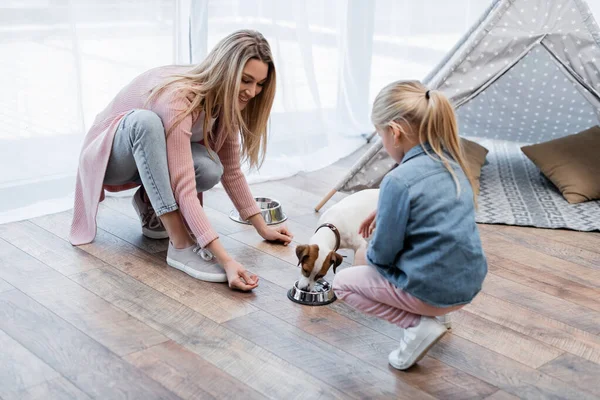 Smiling woman looking at jack russell terrier eating near daughter at home — Stock Photo